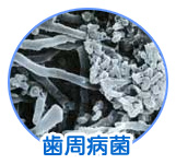 �����a��